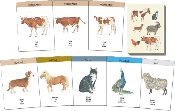 djurspelets kort